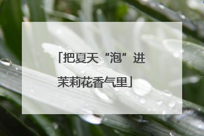把夏天“泡”进茉莉花香气里