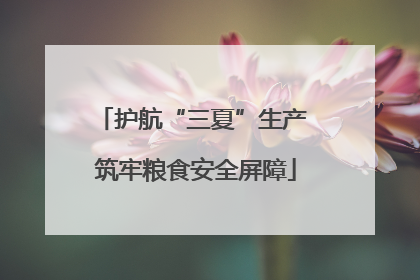 护航“三夏”生产 筑牢粮食安全屏障