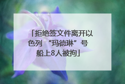 拒绝签文件离开以色列 “玛德琳”号船上8人被拘