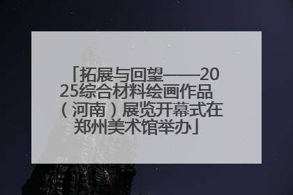 拓展与回望——2025综合材料绘画作品（河南）展览开幕式在郑州美术馆举办