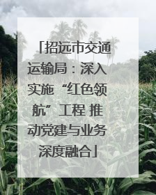 招远市交通运输局：深入实施“红色领航”工程 推动党建与业务深度融合