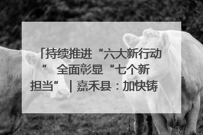 持续推进“六大新行动 ” 全面彰显“七个新担当”｜嘉禾县：加快铸造行业提档升级 助力绿色高质量发展