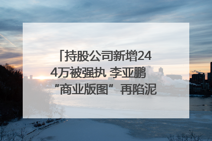 持股公司新增244万被强执 李亚鹏“商业版图”再陷泥潭？｜科技观察