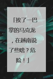 挨了一巴掌的马克龙，在越南说了些啥？危险！