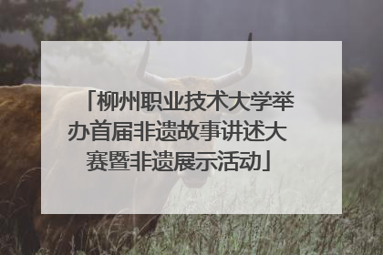 柳州职业技术大学举办首届非遗故事讲述大赛暨非遗展示活动