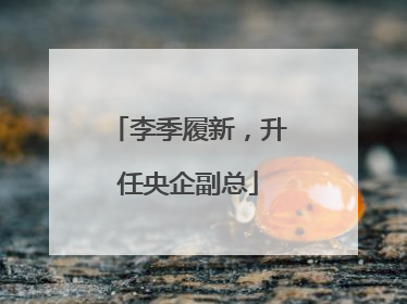 李季履新，升任央企副总