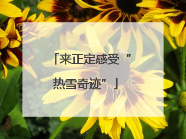 来正定感受“热雪奇迹”
