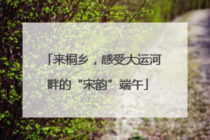 来桐乡，感受大运河畔的“宋韵”端午