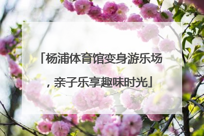 杨浦体育馆变身游乐场，亲子乐享趣味时光