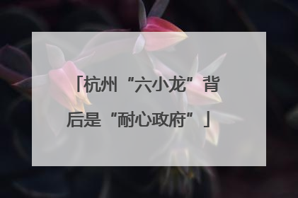 杭州“六小龙”背后是“耐心政府”
