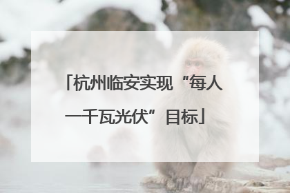 杭州临安实现“每人一千瓦光伏”目标