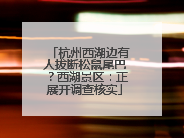 杭州西湖边有人拔断松鼠尾巴？西湖景区：正展开调查核实
