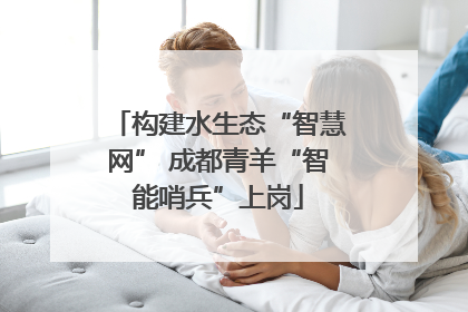 构建水生态“智慧网” 成都青羊“智能哨兵”上岗