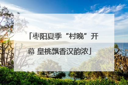 枣阳夏季“村晚”开幕 皇桃飘香汉韵浓