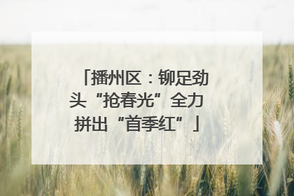 播州区：铆足劲头“抢春光”全力拼出“首季红”