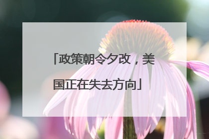 政策朝令夕改，美国正在失去方向