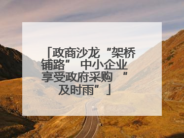 政商沙龙“架桥铺路” 中小企业享受政府采购 “及时雨”