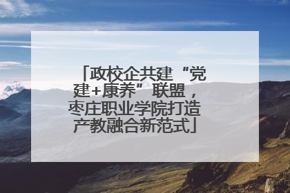 政校企共建“党建+康养”联盟，枣庄职业学院打造产教融合新范式