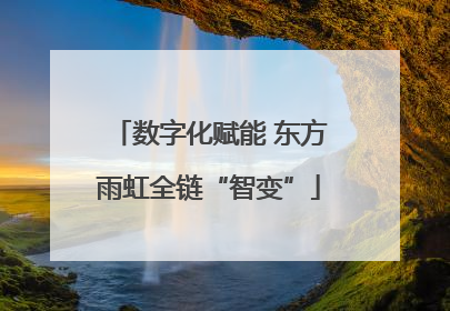 数字化赋能 东方雨虹全链“智变”