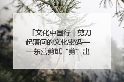 文化中国行｜剪刀起落间的文化密码——东营剪纸“剪”出非遗传承与现代生活的融合之道