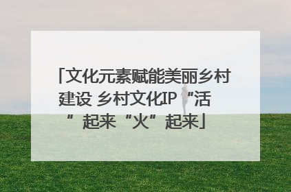 文化元素赋能美丽乡村建设 乡村文化IP“活”起来“火”起来