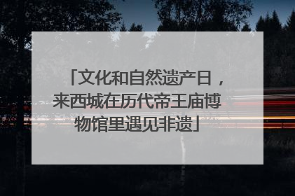 文化和自然遗产日，来西城在历代帝王庙博物馆里遇见非遗