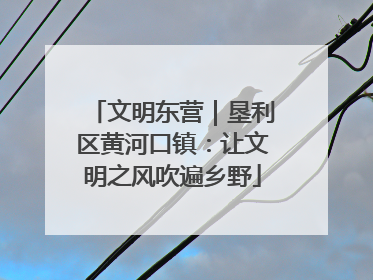 文明东营｜垦利区黄河口镇：让文明之风吹遍乡野