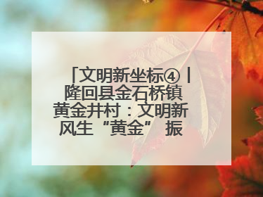 文明新坐标④丨 隆回县金石桥镇黄金井村：文明新风生“黄金” 振兴路上展新姿