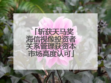斩获天马奖 海信视像投资者关系管理获资本市场高度认可