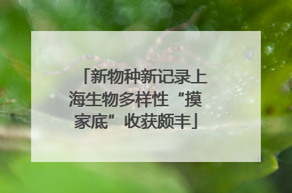 新物种新记录上海生物多样性“摸家底”收获颇丰