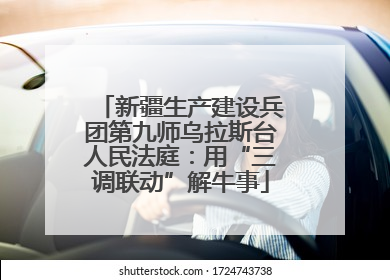 新疆生产建设兵团第九师乌拉斯台人民法庭：用“三调联动”解牛事