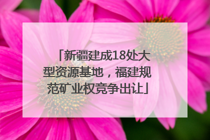 新疆建成18处大型资源基地，福建规范矿业权竞争出让