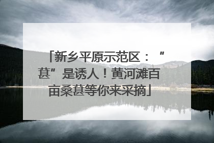 新乡平原示范区：“葚”是诱人！黄河滩百亩桑葚等你来采摘