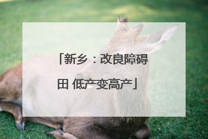 新乡：改良障碍田 低产变高产