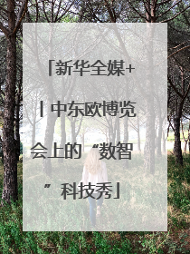 新华全媒+丨中东欧博览会上的“数智”科技秀