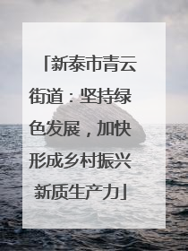 新泰市青云街道：坚持绿色发展，加快形成乡村振兴新质生产力