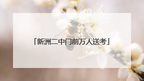 新洲二中门前万人送考