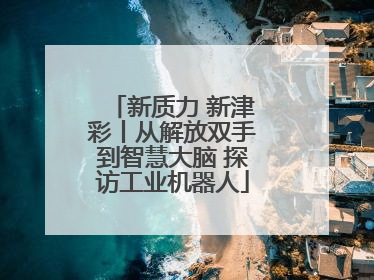 新质力 新津彩丨从解放双手到智慧大脑 探访工业机器人