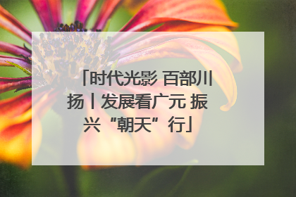 时代光影 百部川扬丨发展看广元 振兴“朝天”行
