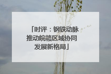 时评：钢铁动脉推动皖赣区域协同发展新格局
