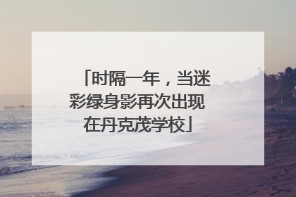 时隔一年，当迷彩绿身影再次出现在丹克茂学校