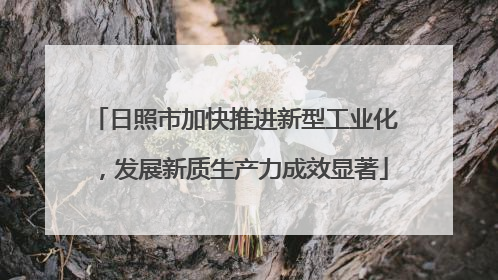 日照市加快推进新型工业化，发展新质生产力成效显著