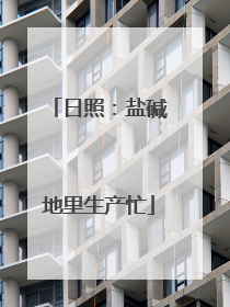 日照：盐碱地里生产忙