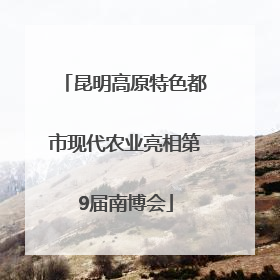 昆明高原特色都市现代农业亮相第9届南博会