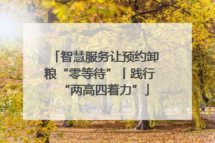 智慧服务让预约卸粮“零等待”丨践行“两高四着力”