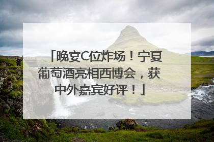 晚宴C位炸场！宁夏葡萄酒亮相西博会，获中外嘉宾好评！