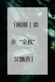 晚潮｜畲乡“金枕”又飘香
