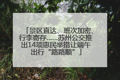 景区直达、班次加密、行李寄存……苏州公交推出14项惠民举措让端午出行“路路顺”
