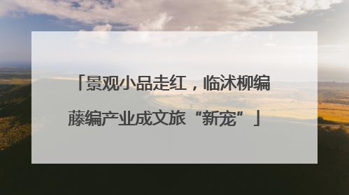 景观小品走红，临沭柳编藤编产业成文旅“新宠”