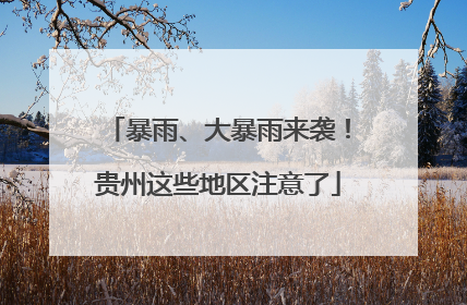 暴雨、大暴雨来袭！贵州这些地区注意了